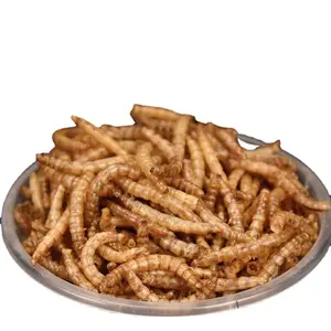 먼지없는 100% 천연 고 단백질 풍부한 영양 음식 식용 건조 mealworm 사람들을위한 고 단백질