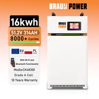 Stock UE Pack de batteries au lithium LiFePO4 16S 48V 314Ah 16KWH avec BMS intelligent à équilibrage actif 200A pour stockage d'énergie photovoltaïque