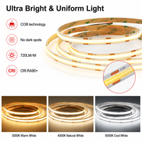 Bande lumineuse LED flexible intelligente pour extérieur, grande taille, IP20, 24V, 4000K, télécommande, pour la décoration paysagère, vente en gros