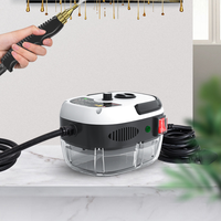 Vente chaude 2800W nettoyeur vapeur haute température pour nettoyeur vapeur haute pression domestique