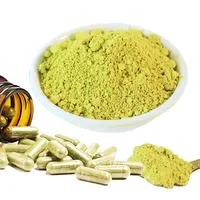 Extrait de Sophora japonica de haute qualité 100% pur en vrac, extrait de quercétine, capsules de quercétine ODM, poudre d'extrait de quercétine