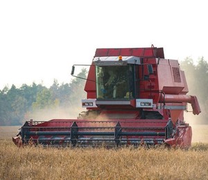 Potente Equipo <span class=keywords><strong>de</strong></span> Cosecha Agrícola AF88G 88HP Cosechadora <span class=keywords><strong>de</strong></span> Alto Torque para Huertos y Frutas - Product Image 2