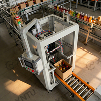 Máquina Empacadora de Cajas de Carga Superior Totalmente Automática con PLC, Bomba Hidráulica, Cinta Transportadora, Personalizable para Botellas de Plástico, Cartones, Bolsas y Productos Químicos