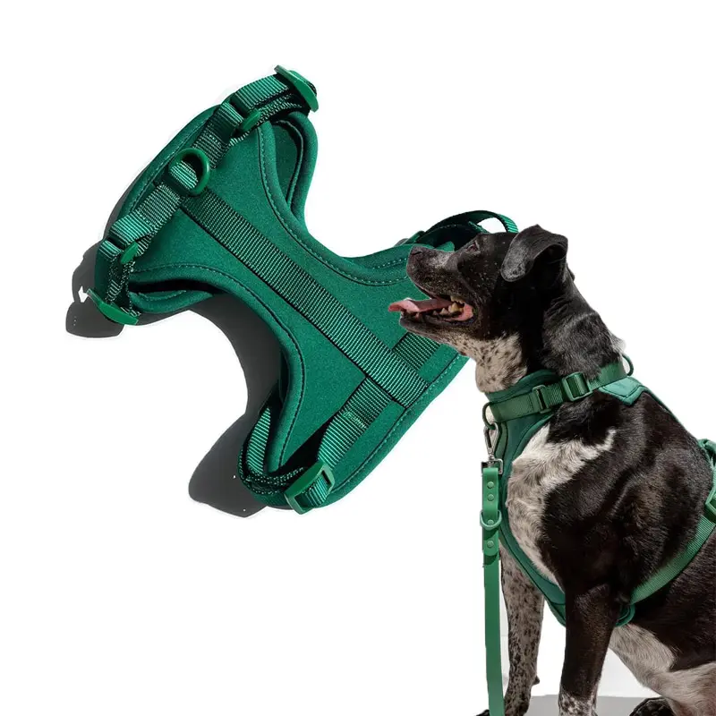 custom PVC dog leash waterproof lead pvc dog collar and leash with treat bag