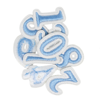 Parches Bordados con Números 3D en Color Azul Pastel con Borde en Contraste, Certificación CE, Lindas Insignias Bordadas con Dígitos, Termoadhesivas, para Adolescentes