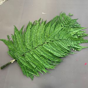 Feuilles <span class=keywords><strong>de</strong></span> <span class=keywords><strong>fougère</strong></span> préservées très demandées, bouquet <span class=keywords><strong>de</strong></span> feuilles <span class=keywords><strong>de</strong></span> <span class=keywords><strong>fougère</strong></span> alpine pour arrangement en vase, décoration ou création <span class=keywords><strong>de</strong></span> bouquets - Product Image 6