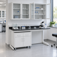 Meuble de laboratoire mobile sur roulettes, poste de travail réglable en hauteur en acier pour laboratoire scientifique scolaire