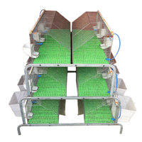 Structure en fer galvanisé pour l'élevage intensif de lapins en cage industrielle