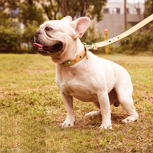 Accesorios de diseñador de lujo para mascotas, <span class=keywords><strong>Collar</strong></span> para perros y gatos, <span class=keywords><strong>Collar</strong></span> de cuero ajustable para mascotas, joyería marrón, <span class=keywords><strong>Collar</strong></span> para perros - Product Image 6