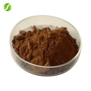 Ücretsiz örnek Reishi Ganoderma tozu Lingzhi mantar 4% 2% Triterpene ile polisakkarit