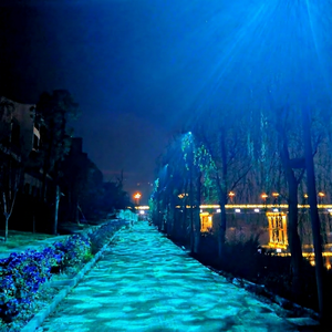Tree <b>Lighting</b> With Water Ripple Effect For Interactive Garden And Outdoor Event Projections - Product Image 2