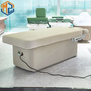 Massage Spa Chair Hot Sale Luxury Beige Beauty Salon Bed 2 Motors Electric Massage Cosmetic Table Chair Facial Spa Bed