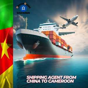 Agent maritime vers l'Afrique du <span class=keywords><strong>Sud</strong></span>, service logistique DDP porte-à-porte, transitaire maritime FCL LCL, conteneur Chine vers RD Congo - Product Image 2