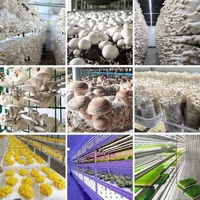 Ferme verticale en conteneur d'expédition avec système aéroponique, laitue, champignons, safran, énergie solaire, moteur, couverture en acier