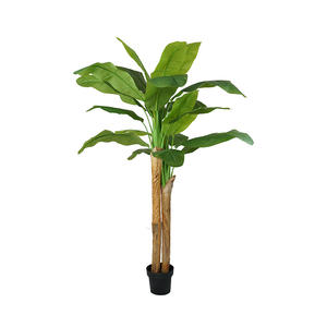 Tizen Arge in plastica artificiale di cocco canarino datario palma per la <span class=keywords><strong>casa</strong></span> decorazione da giardino per interni esterni - Product Image 6