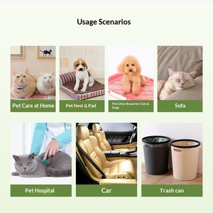 <span class=keywords><strong>Ambientador</strong></span> Líquido para Tuberías de Inodoro, Aroma a Gardenia, para Inodoro, Cubo de Basura, Zapatero, Purificador de Aire, en Envase de Botella - Product Image 2