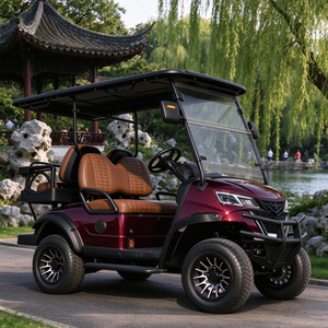 Voiturette de golf tout-terrain 4 places homologuée CE, couleur personnalisée, véhicule de tourisme pour attractions touristiques - Product Image 1
