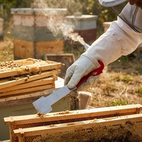 Neuer Edelstahl-Imker-Schaber: Hochwertiges, robustes und langlebiges Werkzeug zum Heben von Bienenrahmen und zur Reinigung