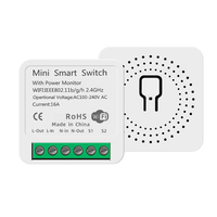 Module d'interrupteur intelligent WiFi Tuya avec moniteur de puissance, relais 16A, commande vocale Smart Life pour Siri Alexa Google Alice