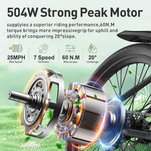 2025 aairsk 24 "דיסק בלם קדמי ההשעיה 36v 10ah 7 מהירויות 400w שמן צמיג אופס סגנון חשמלי - Product Image 2