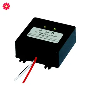 Highハイテク12V 24V 36V 48V 96V Battery Equalizer