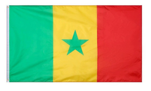 Artículos Personalizables para Fanáticos de Senegal 2026 para 48 Equipos: Banderas, Gorras, Bufandas, Pulseras, Sets, Compras Corporativas al por Mayor, Regalos - Product Image 5