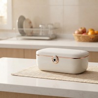 Nouvel Arrivage – Boîte à Déjeuner Électrique Sans Eau, Prête à l'Emploi, Auto-Chauffante, Portable, Chauffe-Plats Domestique, Mini Cuiseur à Riz