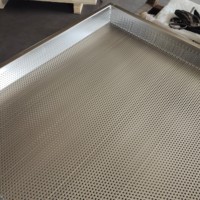 Hoch temperatur beständigkeit 60*40cm Edelstahl-Lochs chale in voller Größe für Dampf öfen