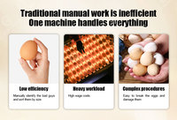 Machine de triage automatique des œufs, machine de triage et d'emballage des œufs commerciale avec service de commande en gros pour les grandes industries agroalimentaires