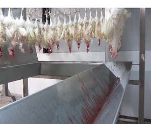 Machine d'abattage automatique multi-oiseaux de marque personnalisée, capacité 1000 kg, 5,5 kW, 380 V, équipement de traitement intelligent pour ferme - Product Image 4