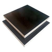 Contreplaqué filmé 1220x2440mm, 18mm, âme en peuplier, pour coffrage de construction en béton