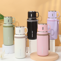 Bouteille isotherme portable en acier inoxydable 316 de 800 ml avec couvercle anti-fuite, isolation thermique de 6 à 12 heures, conception anti-chute pour l'extérieur