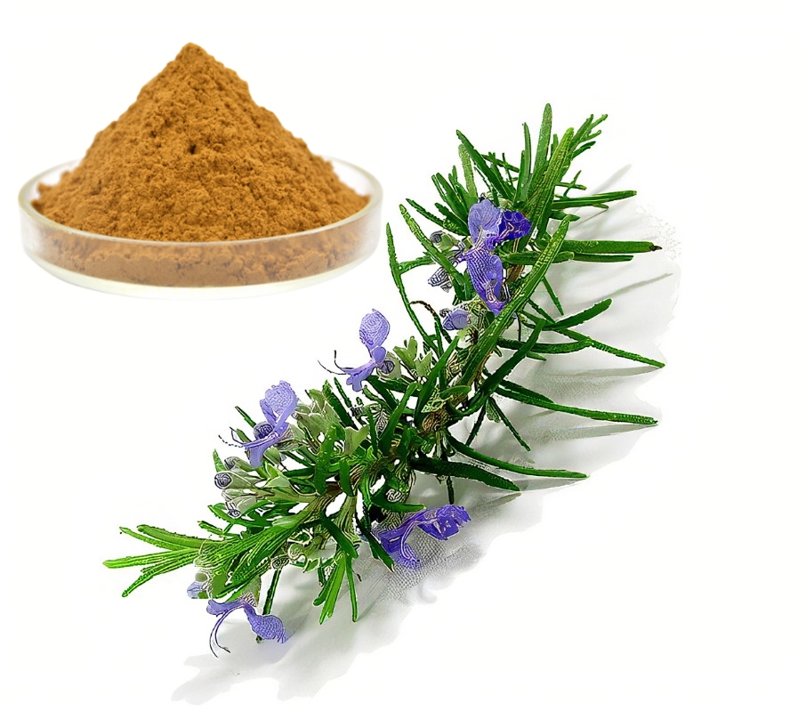 Carnosic acid powder supplier Carnosic acid powder supplier