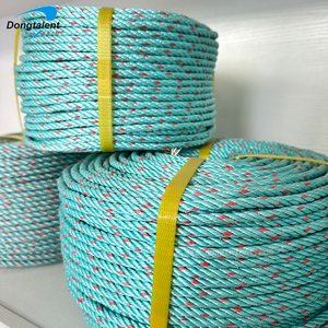 <span class=keywords><strong>2025</strong></span> Sản phẩm mới nổ PP danline dây thừng tùy chỉnh Polypropylene xoắn dây trên bán - Product Image 3