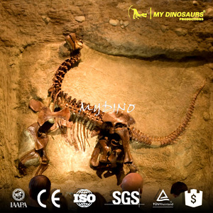 MY Dino SF12 Fossile <span class=keywords><strong>di</strong></span> Dinosauro Antico da Scavare, Fossile <span class=keywords><strong>di</strong></span> Dinosauro da Parete - Product Image 5