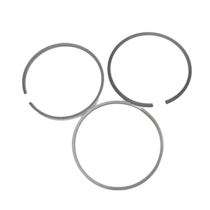 Jeu de segments de piston 75mm 31.952.5 OE 04006N0 0640.S7 47900000 pour Peugeot 206 407 1.4HDI 1.6HDI moteur diesel - Product Image 3