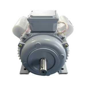 Yl8024 550W 750W <span class=keywords><strong>220V</strong></span> 110v B3 IP44 động cơ <span class=keywords><strong>AC</strong></span> không đồng bộ một pha chất lượng cao tùy chỉnh động cơ tụ điện kép IP54 - Product Image 5