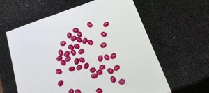 Quyến rũ Đá quý tổng hợp lỏng đá quý hình bầu dục Cabochon 16x12mm Rose đá giá sao <span class=keywords><strong>Ruby</strong></span> <span class=keywords><strong>Corundum</strong></span> - Product Image 3