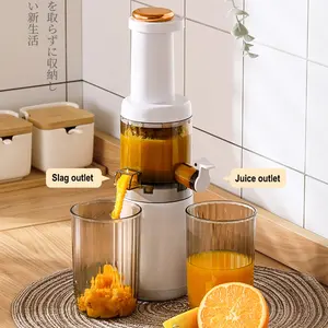 Nouveaux produits peut être personnalisé Offre Spéciale Centrifugeuse Lente Pression À Froid Smoothie Fruits Machine 120W LENTE Presse-agrumes Avec Sans BPA