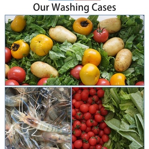 Machine de lavage de crevettes, viande, fruits et légumes avec réservoir d'eau inclinable et bulles d'ozone, fournie directement par l'usine - Product Image 5