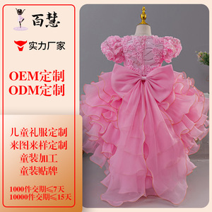Robe de bal en tulle style princesse pour filles, robe de demoiselle d'honneur rose avec volants et broderies, hiver 2025 - Product Image 4