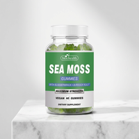 Gummies Halal Véganes Curcuma Thé Vert Canneberge Mousse de Mer Vitamine C Sureau Biotine Vinaigre de Cidre de Pomme Collagène Mélange Personnalisé
