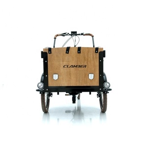 Triciclo Elettrico da Carico a Tre Ruote con Motore al Mozzo Posteriore e Batteria da 36V, Disponibile in Polonia, Bici Cargo Elettrica dal Magazzino Europeo - Product Image 5