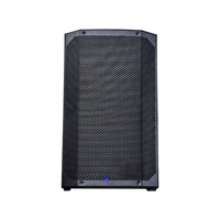Haut-parleur PA portable 2 voies 15 pouces 250W Bluetooth 5.0 Classe D DSP pour événements en extérieur et intérieurs – Offre Spéciale