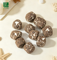 Malvaviscos Liofilizados al Por Mayor, Personalizados, con Recubrimiento de Chocolate, Barra Sólida, Dulce Divertido, 12 Meses de Duración, Personalizable
