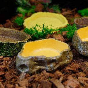 Plateforme d'escalade pour reptiles, bol d'eau pour reptiles, résine robuste et durable, décor de terrarium en pierre simulée, bol à nourriture pour reptiles - Product Image 4