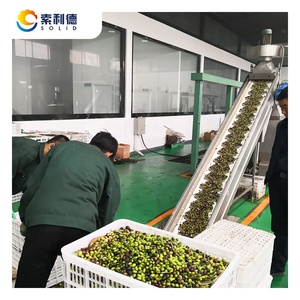 Linea di produzione Extra vergine dell'olio d'oliva EVOO-1500 1500kg/h - Product Image 1