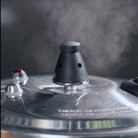 Nouveau produit - Autocuiseur industriel commercial à gaz 4,2 L - Autocuiseur multifonction en aluminium