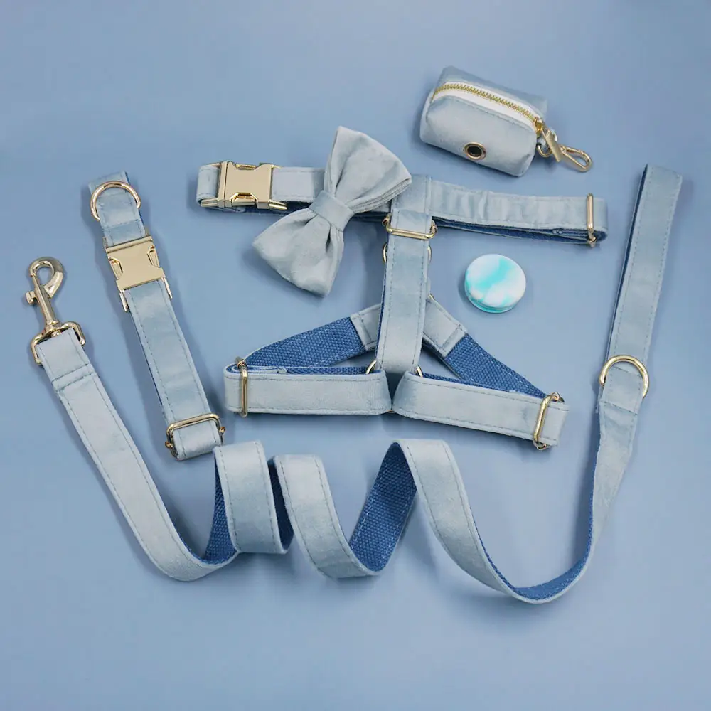 Vogue design personalized 6-pieces sets dog collar leash bow tie harness poop bag holder pet airtag holder bulk custom
