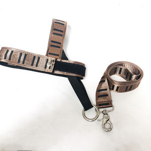 Hunde geschirr Leinen Set Französische Bulldogge <span class=keywords><strong>Schnauzer</strong></span> Corgi Chihuahua Groß Mittel Klein Hunde halsband Nylon Brief Verstellbar Langlebiges Haustier - Product Image 4